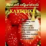 Постер книги Все об обычной клубнике