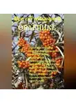 Иван Дубровин - Все об обычной облепихе