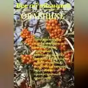 Постер книги Все об обычной облепихе