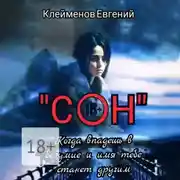 Постер книги Сон. Когда впадешь в безумие и имя тебе станет другим