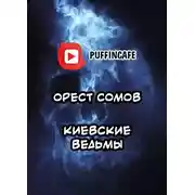 Постер книги Киевские ведьмы