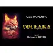 Постер книги Соседка