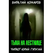 Постер книги Тьма на лестнице