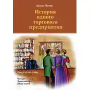 Постер книги История одного торгового предприятия