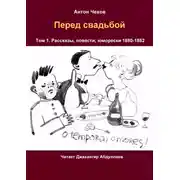 Постер книги Перед свадьбой