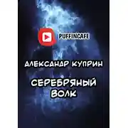 Постер книги Серебряный Волк
