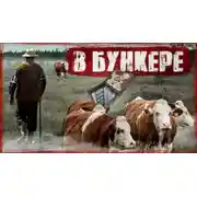 Постер книги Пастух