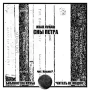 Постер книги Сны Петра