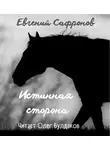 Сафронов Евгений - Истинная сторона