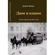 Постер книги Двое в одном