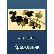 Постер книги Крыжовник