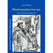 Постер книги Новогодняя пытка