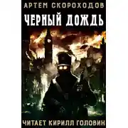 Постер книги Черный дождь