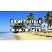 Постер книги Вор во времени