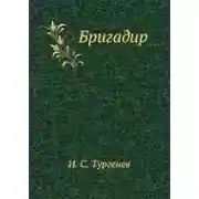 Постер книги Бригадир
