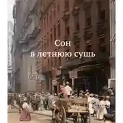 Постер книги Сон в летнюю сушь