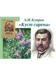  Куприн Александр - Куст сирени