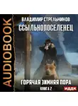 Стрельников Владимир - Ссыльнопоселенец. Книга 2. Горячая зимняя пора