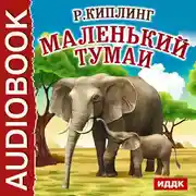 Постер книги Маленький Тумаи