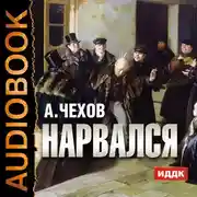 Постер книги Нарвался