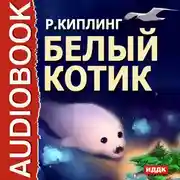 Постер книги Белый котик