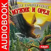 Постер книги Мужик и орел