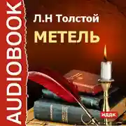 Постер книги Метель