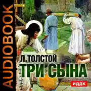 Постер книги Три сына
