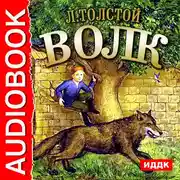 Постер книги Волк