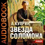 Постер книги Звезда Соломона