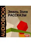  Доде Альфонс - Рассказы "Жертва рекламы", "Кузнец" "Дамское счастье" (глава из романа)