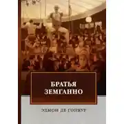 Постер книги Братья Земганно