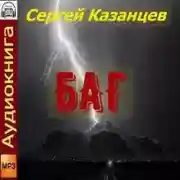 Постер книги БАГ