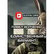 Постер книги Единственный вариант