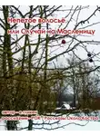 Екатерина Гликен - Непетое волосьё, или Случай на Масленицу