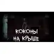 Постер книги Коконы на крыше
