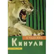 Постер книги Кинули