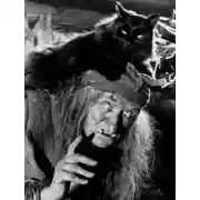 Постер книги Таких не берут в Бабки Ежки