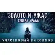 Постер книги Участковый Максимов