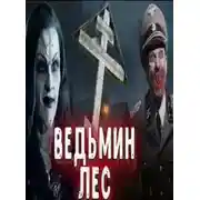 Постер книги Ведьмин лес