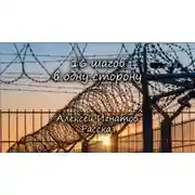 Постер книги 16 шагов в одну сторону