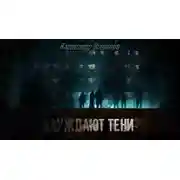 Постер книги Блуждают тени