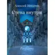 Постер книги Стена внутри