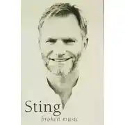 Постер книги Разбитая музыка