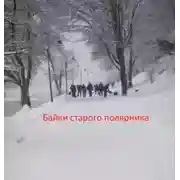 Постер книги Байки старого полярника