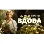Постер книги Вдова