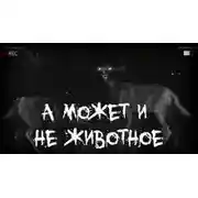 Постер книги А может и не животное