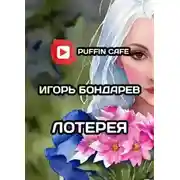 Постер книги Лотерея