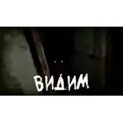 Постер книги ВИДИМ