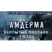 Постер книги Амдерма